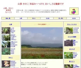 Sansaikinoko.com(きのこ) Screenshot