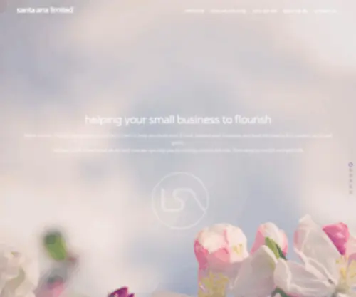 Santaana.co.uk(Helping your small business to flourish) Screenshot