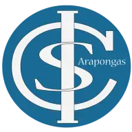 Santacasadearapongas.com.br Logo