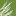 Santafecf.org Favicon