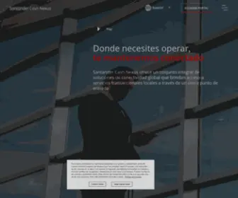 Santandercashnexus.com(Cash Nexus) Screenshot