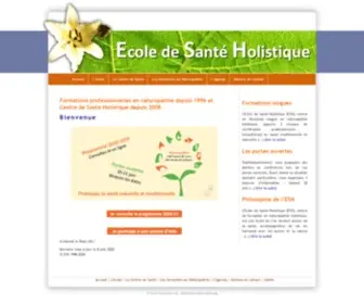 Sante-Holistique.org(Santé) Screenshot