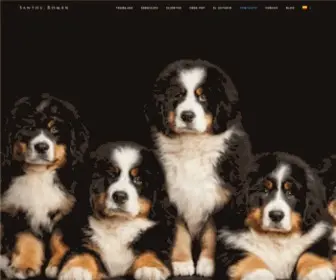 Santosromanstudio.com(Fotógrafo especializado en perros y gatos. Fotógrafo comercial de mascotas) Screenshot