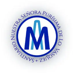 Santuariolovasquez.cl Favicon
