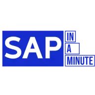 Sapinaminute.com Favicon