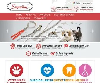 Saqalain.com(Saqalain International) Screenshot