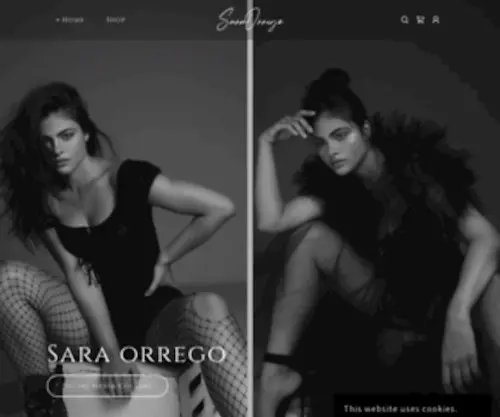 Saraorrego.com(Sara Orrego) Screenshot