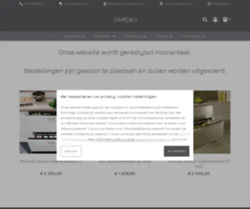 Sareau.nl(Sareau) Screenshot