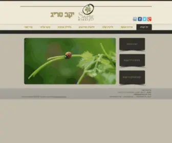 Sarig33.com(יקב בוטיק) Screenshot