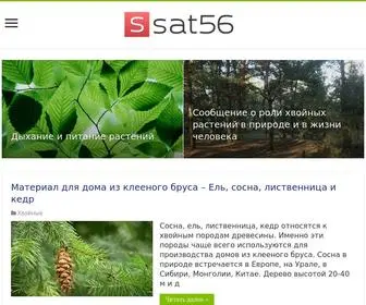 Sat56.ru(срок) Screenshot