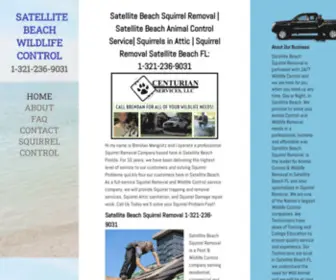 Satellitebeachsquirrelremoval.com(Satellite Beach Squirrel Removal) Screenshot