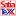 Satiatex.com Favicon