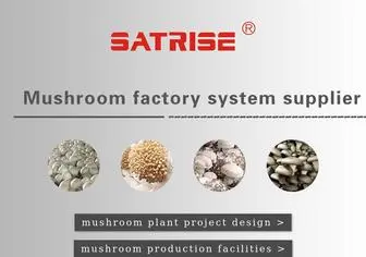 Satrise.com(China Manufacturer Zhengzhou Satrise Industrial Co) Screenshot