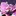 Saturnwebsitedesign.com Favicon