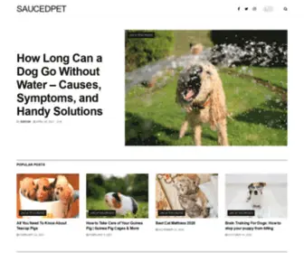 Saucedpet.com(Sauced Pet) Screenshot