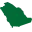 Saudi-Services.net Logo