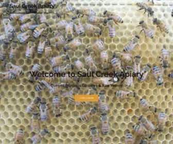 Saulcreekapiary.com(Beekeeping Beginners Guide To South Texas Beekeeping) Screenshot