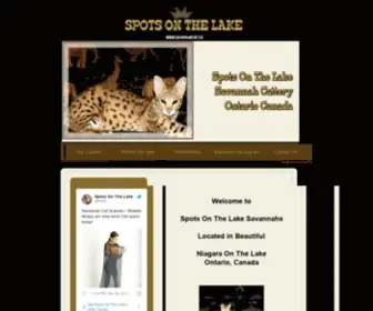 Savannahcat.ca(Savannahcat) Screenshot