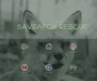 Saveafox.org(Landing) Screenshot