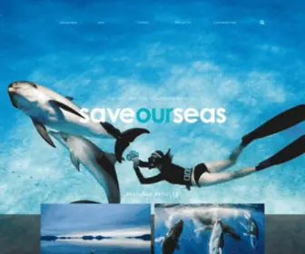 Saveourseasmagazine.com(The Save Our Seas magazine) Screenshot
