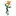 Saveplantskola.se Favicon