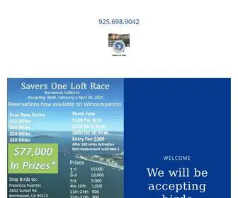 Saverspigeononeloft.com(Pigeon) Screenshot