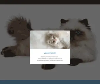 Savingfancycats.org(Felines For Adoption) Screenshot