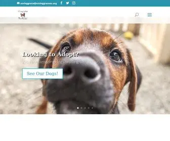 Savinggracenc.org(Saving Grace) Screenshot