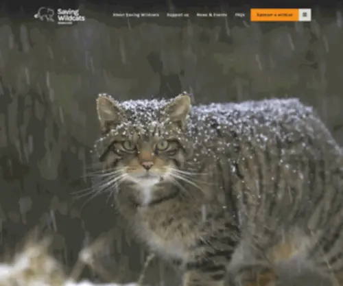 Savingwildcats.org.uk(Saving Wildcats) Screenshot