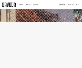 Savour.co.kr(Savour Skate Shop) Screenshot
