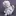 Savvakazavan.ru Favicon