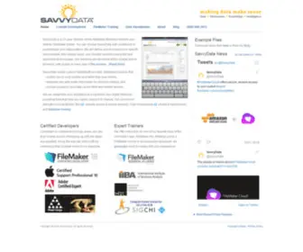 Savvydata.com(Making Data Make Sense) Screenshot
