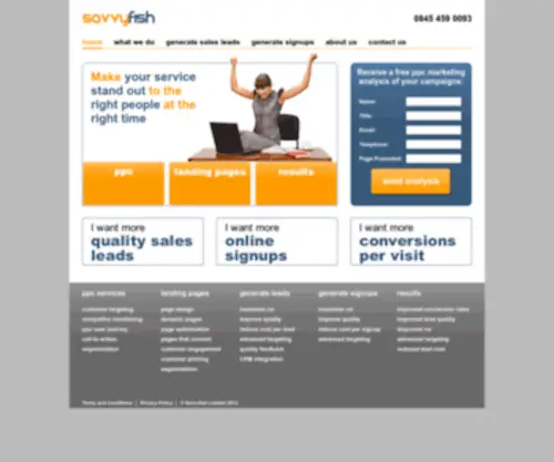 Savvyfish.co.uk(Customer centric PPC marketing campaigns and Landing Pages that deliver outstanding results) Screenshot