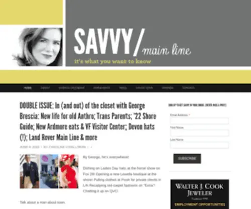 Savvymainline.com(Savvymainline) Screenshot