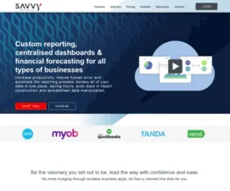 Savvyreports.com(Small business reporting & advertising software) Screenshot