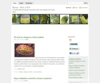 Sawse.com(The aim of this site) Screenshot