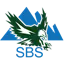 SBsfalcon.com Logo