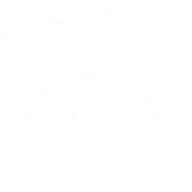 SC-Rinerhorn.ch Favicon