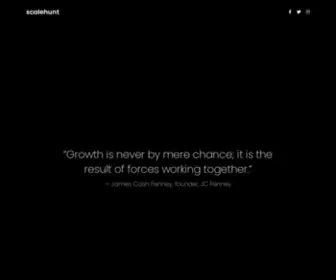 Scalehunt.com(Agency focused on growth) Screenshot