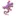 Scalpa.info Favicon