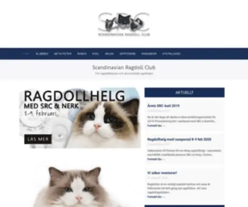Scandinavianragdoll.com(Rasring för uppfödare och ägare av ragdoll) Screenshot