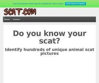 Scat.com(Forsale Lander) Screenshot