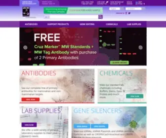 SCBT.com(Antibodies, Gene Editors, Chemicals & Lab Supplies For Research) Screenshot
