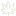 SCcbig.com Favicon