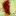 Scenewash.org Favicon