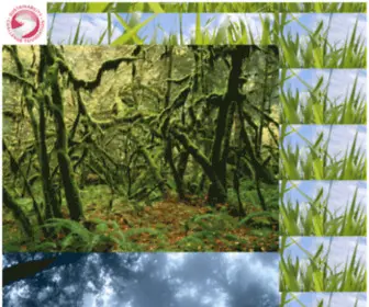 Scfoundation.org(Sustainability Challenge Foundation) Screenshot