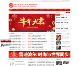 SCgta.org.cn(四川省服装协会) Screenshot