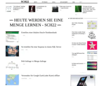 SCH22.org(Heute werden Sie eine Menge lernen) Screenshot