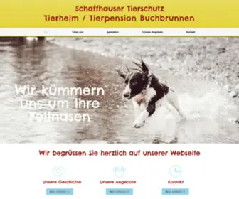 Schaffhauser-Tierschutz.ch(Sh Tierschutz) Screenshot