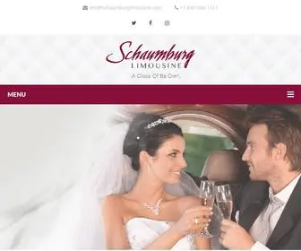 Schaumburglimousine.com(Schaumburg Limousine) Screenshot